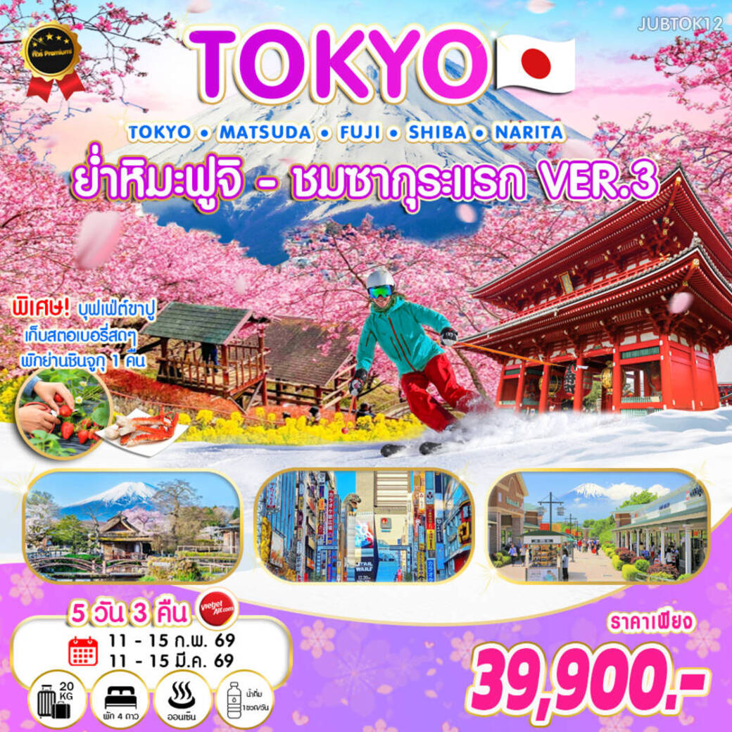 ทัวร์ญี่ปุ่น โตเกียว ย่ำหิมะ-ชมซากุระแรก VER.3 5วัน 3คืน (VZ)